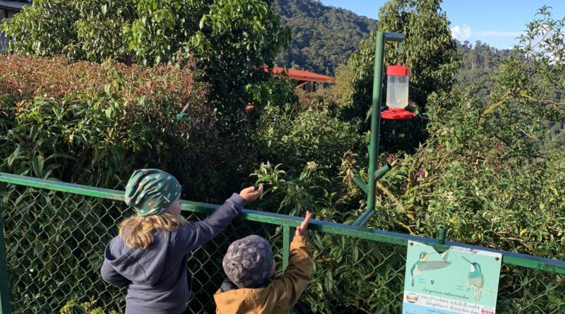 Kinder beobachten Kollibris in der Quetzal Paraiso Lodge, Parque N. Los Quetzales, Costa Rica