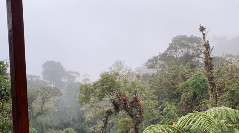 Ausblick mit Regen in der Quetzal Paraiso Lodge, Parque N. Los Quetzales, Costa Rica